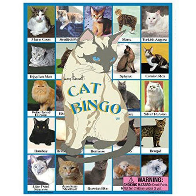 Lucy Hammett Cat Bingo Game Breeds, Behaviors, and Facts for Cat Lovers