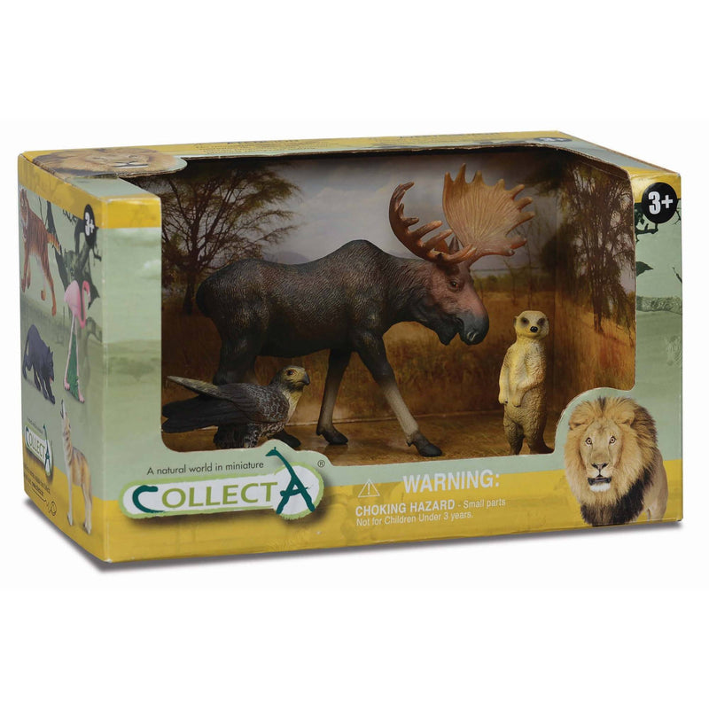 Collecta 3pcs Wild Life Open Boxed Set