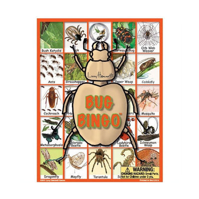 Lucy Hammett Games Bug Bingo