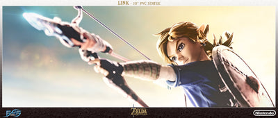 The Legend of Zelda: Breath of the Wild: Link (Standard edition)