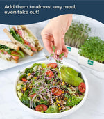 Urban Leaf Microgreen Starter Kit 2022
