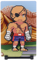 FiGGYZ - Street Fighter 2 - Sagat