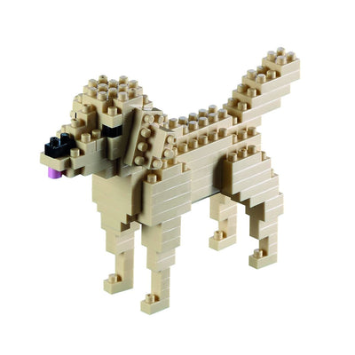 Brixies Brixie GOLDEN RETRIEVER