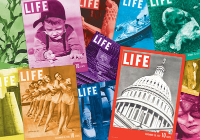 Sure-lox LIFE PUZZLE- 85TH ANNIVERSARY