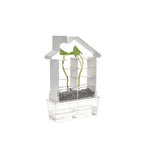 Playsteam Plant Maze Botany Set