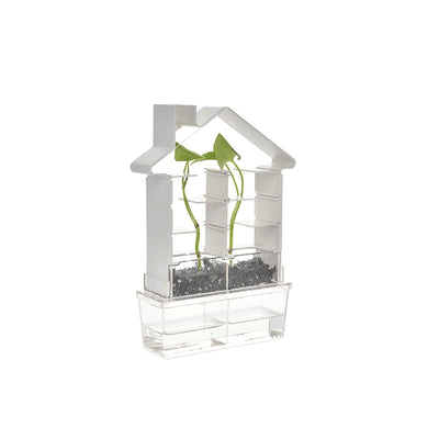 Playsteam Plant Maze Botany Set