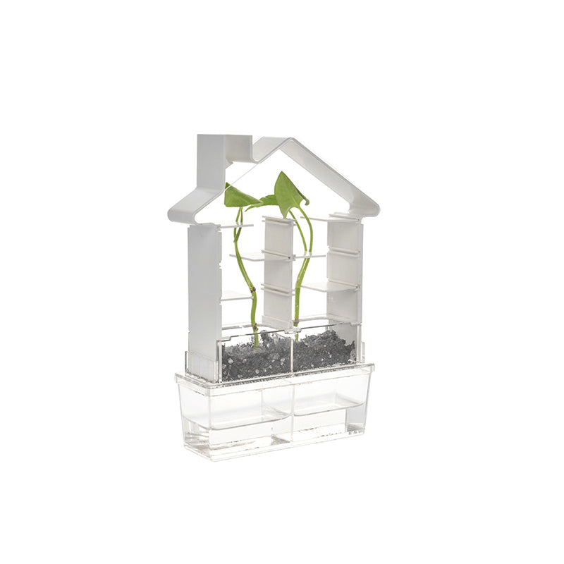Playsteam Plant Maze Botany Set
