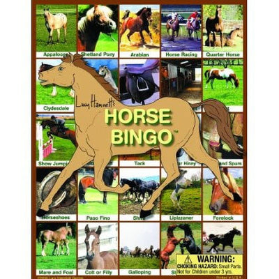 Lucy Hammett Horse Bingo Game Breeds, Care, and Riding Fun for Kids