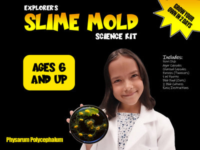 YOUNG SCIENTISTS Slime And Polymer Lab